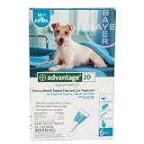 Advantage 20 - For Dogs and Puppies 7 weeks and older and 11 - 20 lbs - 6 pack