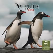 Penguins 2010 Mini Wall
