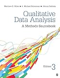 Qualitative data analysis : a methods sourcebook
