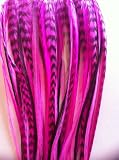 Glam up Your Hair Quality Feathers