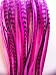 Glam Up Your Hair With Hot Pinks & Black Feather Hair Extension Bonded with 5 Salon Quality Feathers
