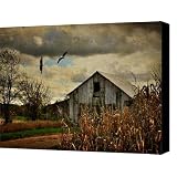 On The Wings Of Change Canvas Print / Canvas Art - Artist Lois Bryan