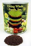 5 Lbs - Bulk Organic Broccoli Sprouting Seed - Certified Organic - 5 Pound Nitrogen Packed Can - High Germination Rate - Perfect for Edible Seeds, Gardening, Hydroponics, Growing Salad Sprouts & Food Storage - Sprout Indoors for Fun, Health & Great Taste. Broccoli Sprouts Contain Sulforaphane. Brocoli, Broccolli, Brocolli Seeds.