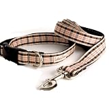 Lola and Foxy Dog Collar
