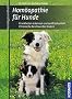 Hom�opathie f�r Hunde: Krankheiten erkennen und sanft behandeln. Chronische Beschwerden lindern