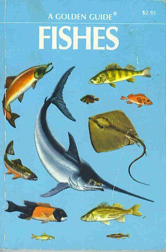 fishes a guide to fresh and salt water species