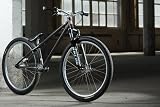 LEAF CYCLES Ruler Pro Royal Metal (2012) VTT Dirt