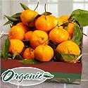 Mendocino Organic Mandarins Fruit Gift