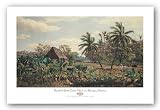 Paisaje con Malangas y Cocoteros by Valentin Carta 32"x18" Art Print Poster