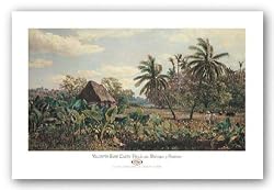 Paisaje con Malangas y Cocoteros by Valentin Carta 32"x18" Art Print Poster