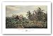 Paisaje con Malangas y Cocoteros by Valentin Carta 32"x18" Art Print Poster