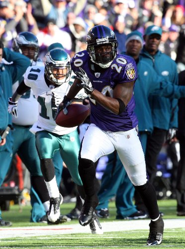 Ed Reed HD 11x17 Baltimore Ravens #02 HDQ