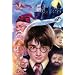 Harry Potter (Group) Movie Poster Print - 11" X 17"