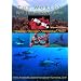 THE WORLD'S BEST DIVE DESTINATIONS DVD, the world's first ever visual scuba dive guide to the world's best scuba diving locations. A DIVERS BEST PRESENT!