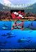 The World's Best Dive Destinations DVD, The world's first ever visual dive guide to the world's best scuba diving locations. A DIVERS BEST PRESENT!