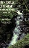 image link - - 1887995005