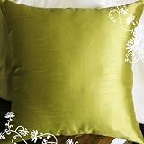 Decorative Modern Green Throw Pillow Cover