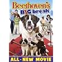 Beethoven's Big Break