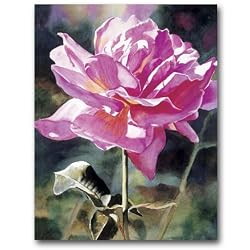One Pink Rose - Gift Enclosure Cards (set of 12)
