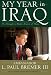 Image of My Year in Iraq: The Struggle to Build a Future of Hope