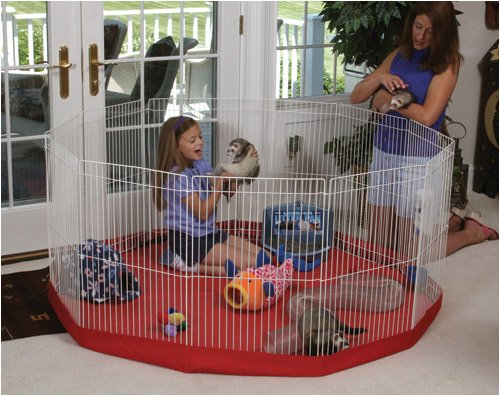 Image #1 of Small Pet Playpen
