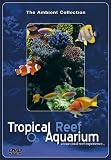 Tropical Reef Aquarium