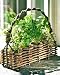 Window Herb Pots