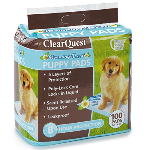 ClearQuest Blooming Fresh Puppy Pads, 100-Count Bag, Hold 2.5 Cups, Five Layers, Eight-Hour Protection, Scented to Attract Puppies