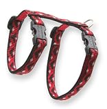 Lupine Adjustable H-Style Harness 1/2 in. x 12 in. x 20 in. - Retro Red