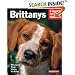 Brittanys (Complete Pet Owner's Manual)