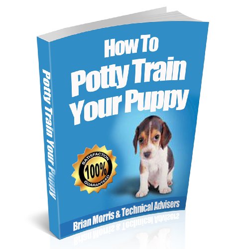 how to potty train a puppy