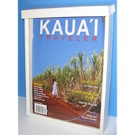 Amazon Outdoor "Realtor Style" Brochure Holder