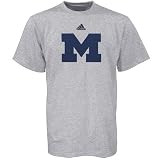 adidas Michigan Wolverines Ash Youth Basic T-shirt