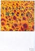 幸せなお金持ちになる「確実な法則」―「思い」と「実現」の法則〈2〉 (East Press Business)