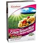 Erewhon Crispy Brown Rice with Mixed Berries, 10-Ounce Boxes (Pack of 6)