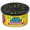 California Scents CarScents - Pineapple