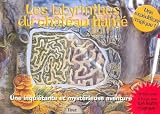 Les labyrinthes du château hanté : Une inquiétante et mystérieuse aventure