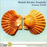 British bivalve seashells : a handbook for identification
