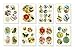 Cavallini Decorative Stickers Flora & Fauna, Assorted
