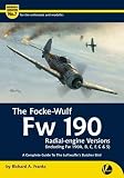 The Focke-Wulf Fw 190 : radial-engine versions (including Fw 190A, B, C, F, G & S) : a complete guide to the Luftwaffe's Butcher Bird