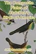 The Composite Plates of Audubons Birds of America