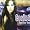 Corina bei MP3-Downloads zum Namen: 511%2BxpapIqL._SL30_