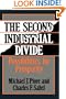 The Second Industrial Divide: Possibilities For Prosperity