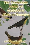 The Composite Plates of Audubons Birds of America