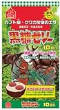 黒糖ゼリー 10個入