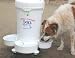 Pet Supplies : Critter Cooler