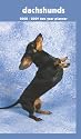 Dachshunds 2008 - 2009 Pocket Planner Calendar (German, French, Spanish and English Edition)