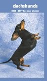 Dachshunds 2008 - 2009 Pocket Planner