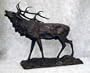 Calling Elk