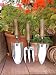 Transplanting Trowel - Stainless Steel